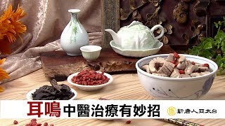 耳鳴吵到受不了 中醫治療有妙招  談古論今話中醫409 [upl. by Mikah]