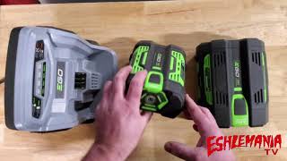 EGO Battery Info How To Estimate When You Will Need To Replace The Battery amp More [upl. by Eenhpad615]