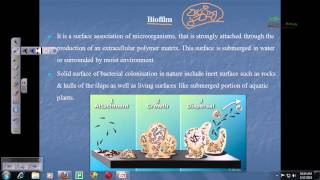 Biofilm and microbial mats [upl. by Melania]