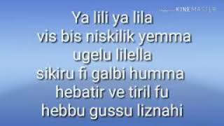 Yalili yalila lyrics song [upl. by Iiette]