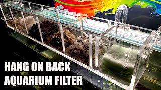 Hang On Back Filter Setup In Aquarium [upl. by Eusassilem773]