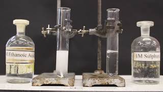 Comparing Strong and Weak Acids GCSE Chemistry [upl. by Bekah]