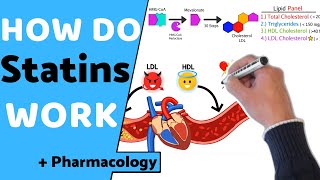 How do Statins Work  Pharmacology [upl. by Sevart]