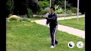 Our Founder Master Moy demonstrates Taoist Tai Chi arts [upl. by Dnomed]