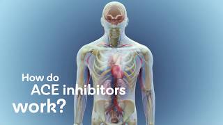 How do ACE inhibitors work [upl. by Debora]