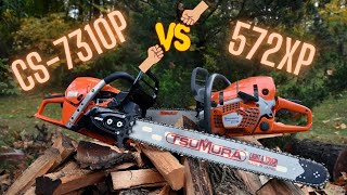 HUSQVARNA 572xp VS ECHO CS 7310P [upl. by Dihahs]