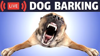 Dog Barking Sound  Dogs Barking Live Bark [upl. by Anelegna816]