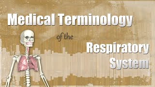 Medical Terminology of the Respiratory System [upl. by Iline191]