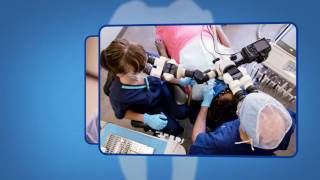 Endodontic Retreatment Explained [upl. by Farr574]