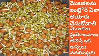 how to make sprouts at homesprouts preparation in telugu [upl. by Nirel]