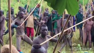 Brutal traditions of the surma Tribes Ethiopia [upl. by Menedez]