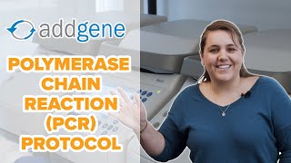 Polymerase Chain Reaction PCR Protocol [upl. by Shah]