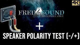 Speaker Polarity Check  Test Tone FredNsound [upl. by Ettenim]