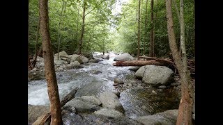 Lower Rapidan River  Shenandoah National Park [upl. by Ira]