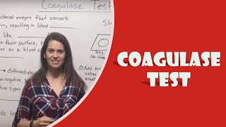 Coagulase Test [upl. by Pauline]