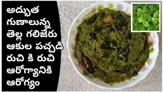 తెల్లగలిజేరు ఆకుల పచ్చడి tella galijeru chutneyకిడ్నీ లివర్ మధుమేహ సమస్యలకు దివ్యౌషధంTasty [upl. by Kotz]