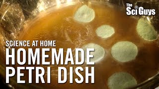 The Sci Guys Science at Home  SE2  EP3 Homemade Petri Dish  Growing Bacteria at Home [upl. by Nedrah376]