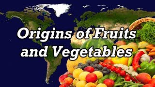 Origins of Fruits and Vegetables [upl. by Feldman]