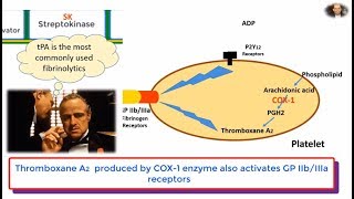 Thrombosis Review Antiplatelet Anticoagulants and Thrombolytics [upl. by Ycinuq888]