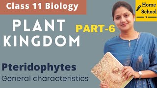 Plant Kingdom Class 11 Biology  Pteridophytes Part6 [upl. by Atirb]