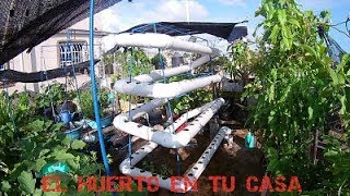 COMO HACER UN HUERTO GRANDE EN TUBO PVC [upl. by Rebekah]