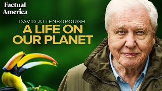 A Life on Our Planet Sir David Attenboroughs Witness Statement [upl. by Charity]