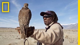 Hunting With Falcons How One City Man Found His Calling in the Wild  Short Film Showcase [upl. by Selway519]