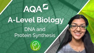 AQA A Level Biology DNA and Protein Synthesis [upl. by Eisset]