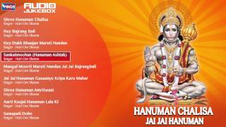 Hanuman Chalisa By Hari Om Sharan  Hindi Devotional Songs  Hanuman Bhajans Jukebox [upl. by Nawat933]