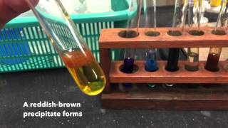 Cation Test IronIII Ions [upl. by Landbert]