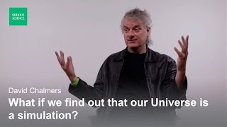 Skepticism and the Simulation Hypothesis — David Chalmers [upl. by Anaitsirk]