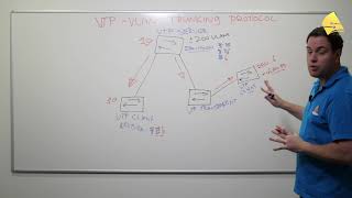 Introduction to VTP VLAN Trunking Protocol [upl. by Rillis]