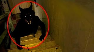 5 Mysteriöse Kreaturen in REAL LIFE gefilmt [upl. by Ynehpets358]