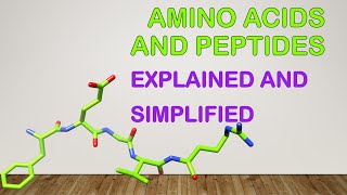 Chapter3Amino acids peptides and proteins Part1 [upl. by Danica984]