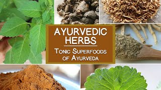 Ayurvedic Herbs The Tonic Superfoods of Ayurveda [upl. by Ahsenek]