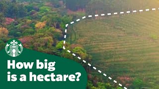 How big is a hectare [upl. by Nahsyar]