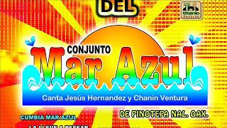 Conjunto Mar Azul  Mix Para Bailar [upl. by Eanyl]