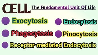 Exocytosis  Endocytosis  Phagocytosis  Pinocytosis  Receptor Mediated Endocytosis REM [upl. by Lesser]