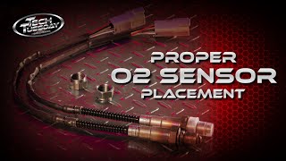 Proper O2 Sensor Placement [upl. by Rurik]