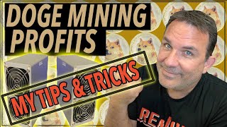 Goldshell Mini Doge Profitability amp Tips After 6 Months [upl. by Laicram829]