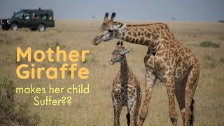 The Mother Giraffe [upl. by Terb]