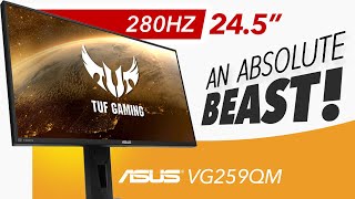 ASUS TUF VG259QM  An ABSOLUTE MONSTER  Detailed Review [upl. by Ateekram]