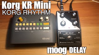 Korg KR Mini Drum Machine and Moog Delay Patterns [upl. by Lerud]