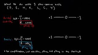 BIOCHEM 14  Amino Acid Ionization 2 and Isoelectric pH [upl. by Ching]