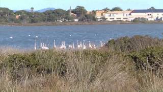 Les salins dHyères [upl. by Duile561]