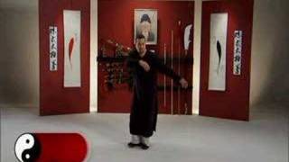 Chen Style Tai Chi Silk Reeling Qigong with Jose Figueroa [upl. by Nawram]